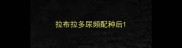 拉布拉多尿频配种后
