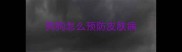 狗狗怎么预防皮肤病