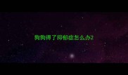 狗狗得了抑郁症怎么办
