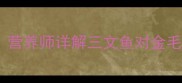 金毛犬能不能吃三文鱼营养师详解三文鱼对金毛的利弊及科学喂养指南