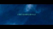 小猫打疫苗要注意什么