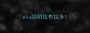 cku聪明拉布拉多