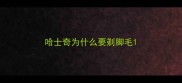 哈士奇为什么要剃脚毛