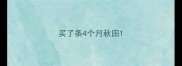 买了条4个月秋田