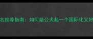 男生狗狗英文名推荐指南如何给公犬起一个国际化又好听的英文名