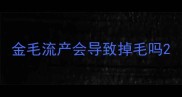 金毛流产会导致掉毛吗