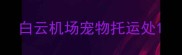 白云机场宠物托运处