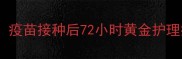 狗狗刚打疫苗家长必看疫苗接种后72小时黄金护理指南附详细流程图