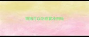 狗狗可以吃感冒冲剂吗