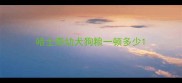 哈士奇幼犬狗粮一顿多少