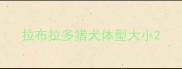 拉布拉多猎犬体型大小