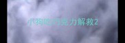 小狗吃巧克力解救