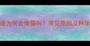 幼犬母泰迪为何会像猫叫常见原因及科学养护指南
