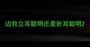 边牧立耳聪明还是折耳聪明