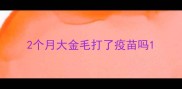 2个月大金毛打了疫苗吗