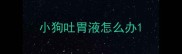 小狗吐胃液怎么办