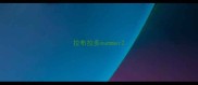 拉布拉多summer
