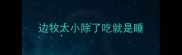 边牧太小除了吃就是睡