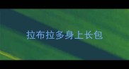拉布拉多身上长包