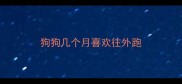 狗狗几个月喜欢往外跑