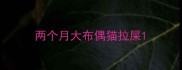 两个月大布偶猫拉屎