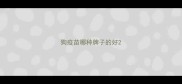 狗疫苗哪种牌子的好