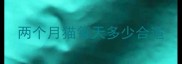两个月猫每天多少合适