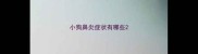 小狗鼻炎症状有哪些
