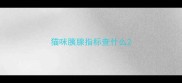 猫咪胰腺指标查什么