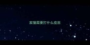 家猫需要打什么疫苗