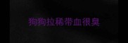 狗狗拉稀带血很臭