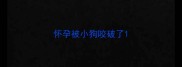 怀孕被小狗咬破了