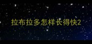 拉布拉多怎样长得快