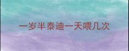 一岁半泰迪一天喂几次