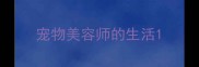宠物美容师的生活
