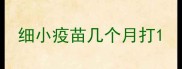 细小疫苗几个月打