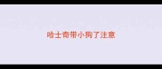 哈士奇带小狗了注意