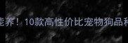 千元预算也能养10款高性价比宠物狗品种及饲养指南