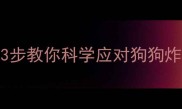 疫苗后掉毛成片3步教你科学应对狗狗炸毛期附护理全攻略