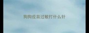 狗狗疫苗过敏打什么针