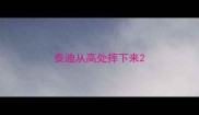 泰迪从高处摔下来
