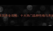 中型犬饲养全攻略十大热门品种性格与养护建议