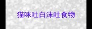 猫咪吐白沫吐食物