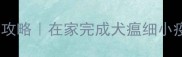 自己给狗狗打疫苗全攻略在家完成犬瘟细小疫苗接种保姆级教程
