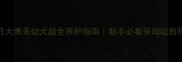 1月大博美幼犬超全养护指南新手必看保姆级教程