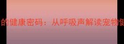 狗狗呼噜声背后的健康密码从呼吸声解读宠物健康与情感世界
