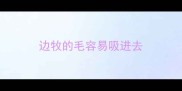边牧的毛容易吸进去