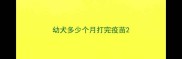 幼犬多少个月打完疫苗