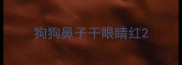 狗狗鼻子干眼睛红