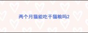 两个月猫能吃干猫粮吗